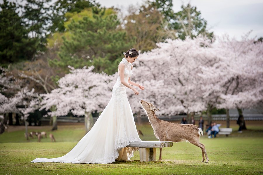 DSC_1086-婚攝-婚攝勇年-婚攝Yunis-自助婚紗-婚紗攝影-婚攝推薦-婚紗攝影推薦-孕婦寫真-孕婦寫真推薦-台北孕婦寫真-宜蘭孕婦寫真-台中孕婦寫真-高雄孕婦寫真,台北自助婚紗-宜蘭自助婚紗-台中自助婚紗-高雄自助-海外自助婚紗-婚攝勇年-台北婚攝-孕婦寫真-孕婦照-台中婚禮紀錄-婚禮攝影-婚禮紀錄-藝人婚禮-自助婚紗-婚紗攝影-婚禮攝影推薦-自助婚紗-新生兒寫真-海外婚禮攝影-海島婚禮攝影-峇里島婚攝-風雲20攝影師-寒舍艾美婚禮攝影-東方文華婚禮攝影-君悅酒店婚禮攝影-萬豪酒店婚禮攝影-ISPWP & WPPI-國際婚禮-台北婚攝-台中婚攝-高雄婚攝-婚攝推薦-自助婚紗-自主婚紗-新生兒寫真-孕婦寫真-孕婦照-孕婦-寫真-台中婚攝-藝人婚禮紀錄-藝人婚攝-婚禮攝影-台北婚禮紀錄-藝人婚禮攝影-自助婚紗-婚紗攝影-婚禮攝影推薦-孕婦寫真-自助婚紗-新生兒寫真-海外婚禮攝影-海島婚禮-峇里島婚攝-寒舍艾美婚攝-東方文華婚攝-君悅酒店婚攝- 萬豪酒店婚攝-君品酒店婚攝-世貿三三婚攝-翡麗詩莊園婚攝-翰品婚攝-顏氏牧場婚攝-晶華酒店婚攝-林酒店婚攝-君品婚攝-君悅婚攝-翡麗詩婚禮攝影-翡麗詩婚禮攝影-文華東方婚攝,全家福 ,全家福照-全家福攝影,全家福寫真-親子寫真,性別揭曉派對-性別派對-gender reveal-gender reveal party-baby shower